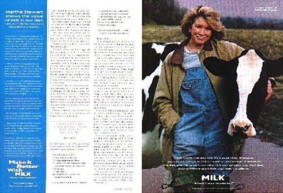 Martha Stewart Knows the Value of Milk 1997 MIBWM sidebar seller spread