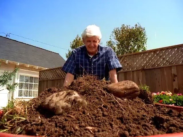 Mr. Miller in his garden