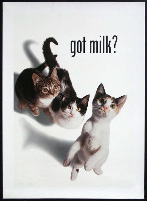 got milk? poster — kittens (California)