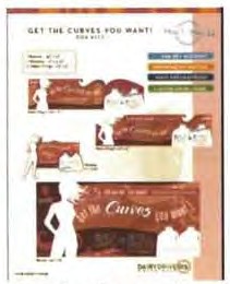 2005 Promotions and Public Relations Materials: Get the Cuves [sic] You Want POS Reference Sheet