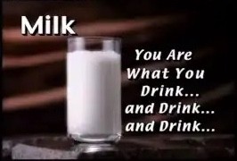 Television still: closing card “Milk — You Are What You Drink… and Drink… and Drink…” (266 px storyboard frame)