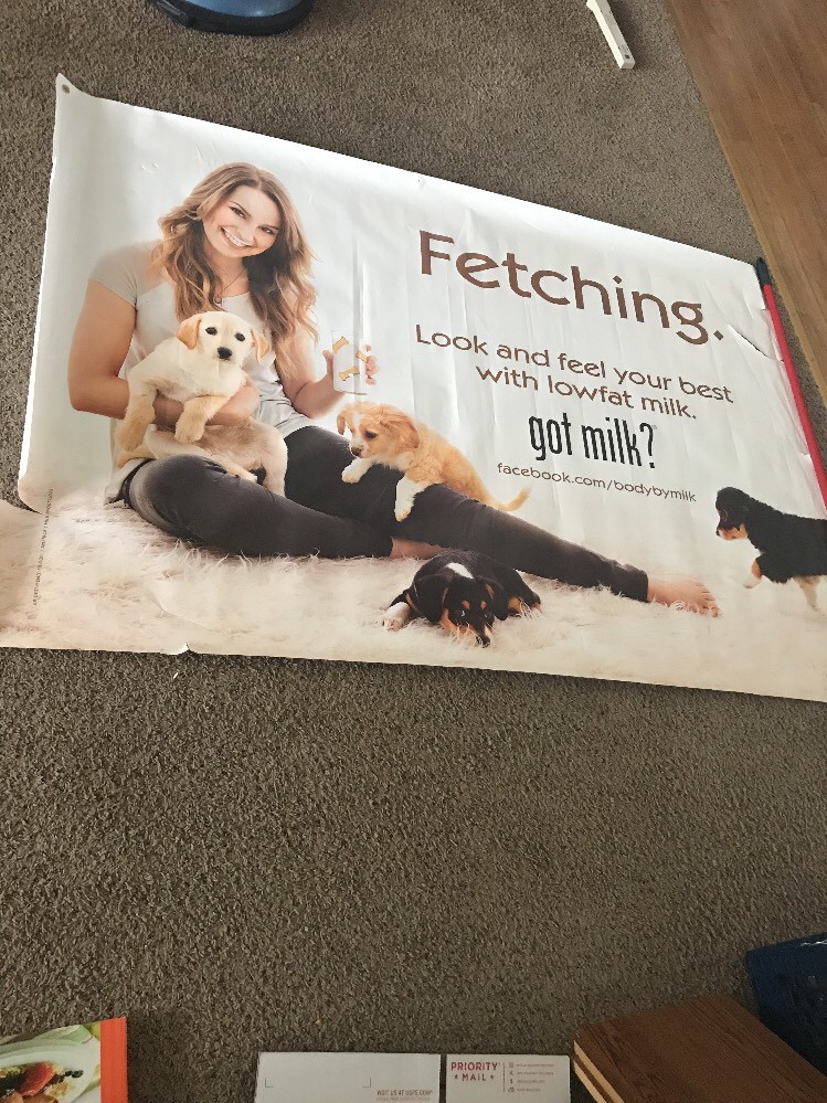 got milk? Bridget Mendler 'Fetching' Vinyl Banner (6ft x 4ft)