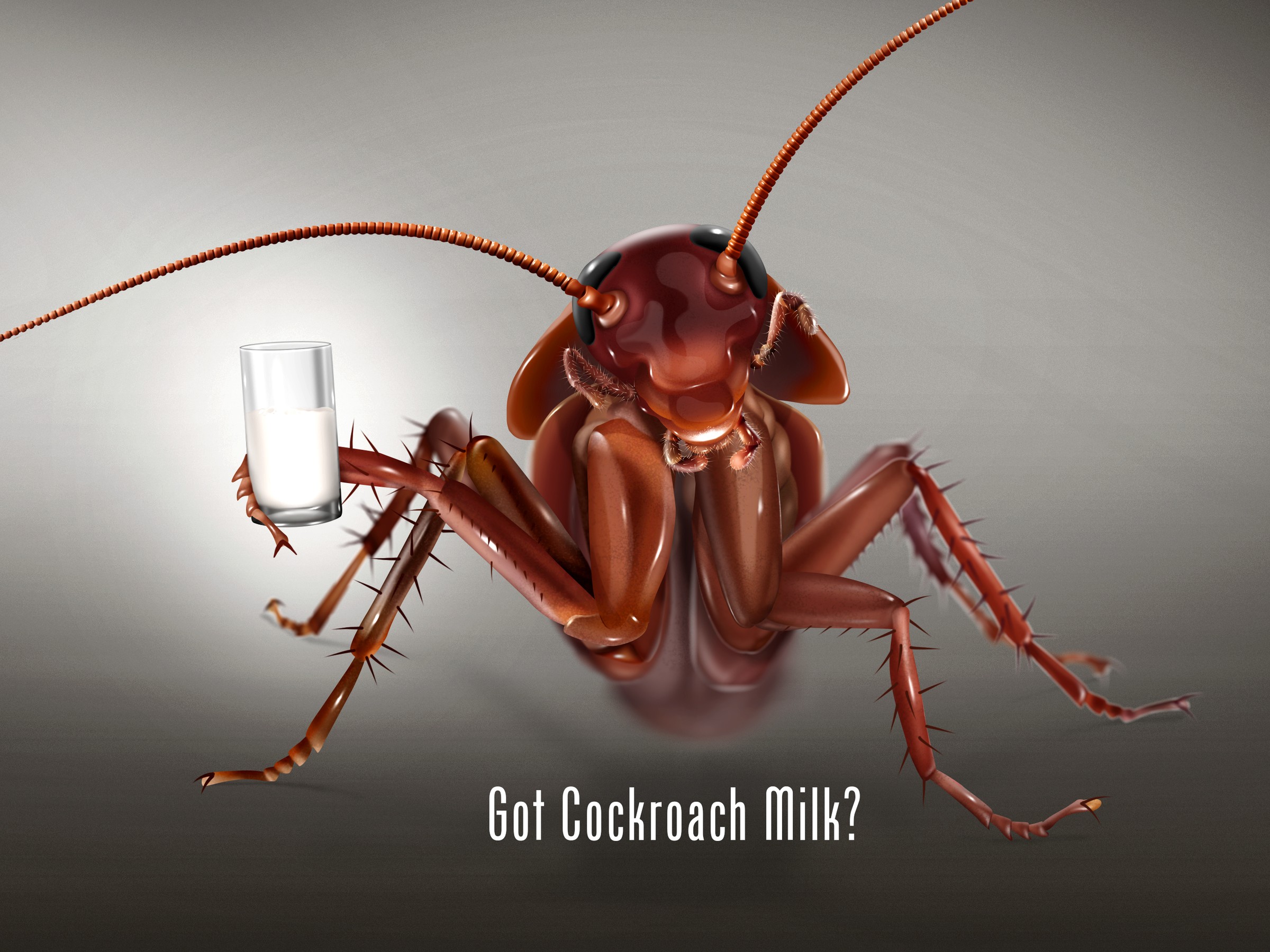 “Got Cockroach Milk?” illustration